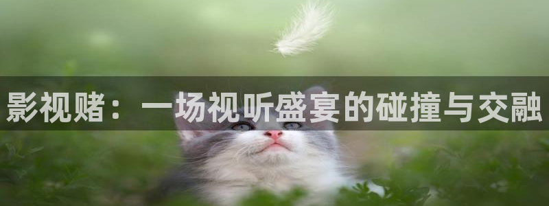 在线观看星辰电影
