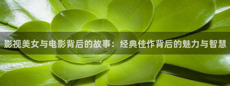 玫瑰炒肉丝电视剧星辰影院