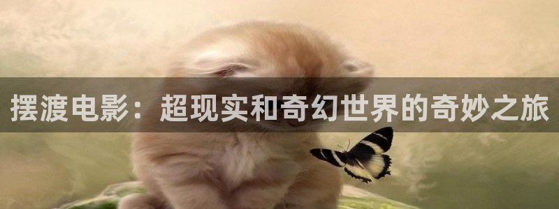 小欢喜星辰影视