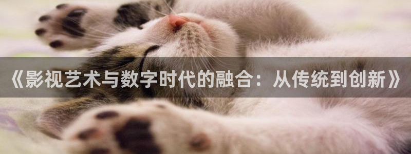 雁归时电视剧免费观看星辰影院