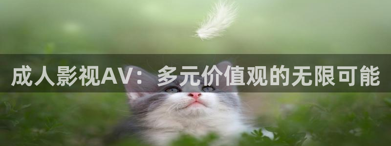 阿麦从军星辰影视