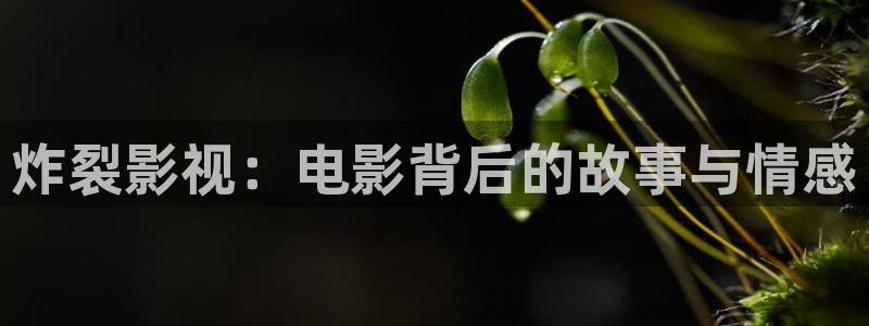 星掠者星辰影视