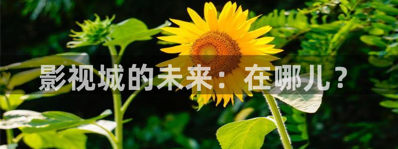 星辰影院的在线观看方式