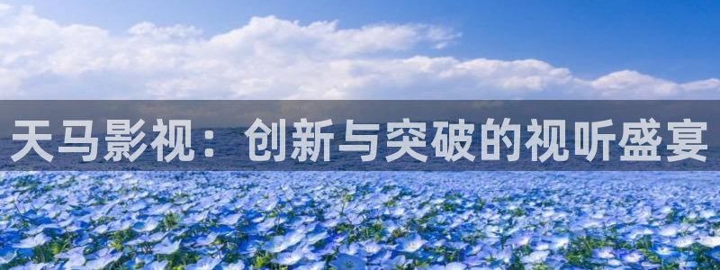 嘘国王在冬眠星辰影院