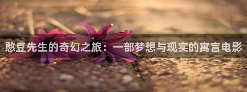 明月照我心星辰影视