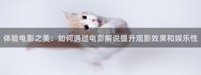 五福临门电视剧完整版星辰影院