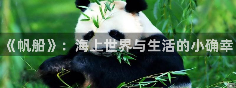 星辰电影免费完整版在线观看