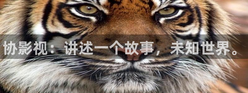 年轻的嫂子2电影在线观看免费完整星辰影院