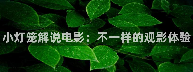 谢谢你温暖我免费观看星辰影视