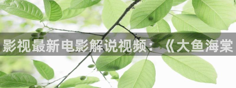 星辰影视影院免费观看电视剧电影