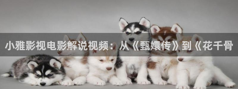 善良的嫂子星辰影院