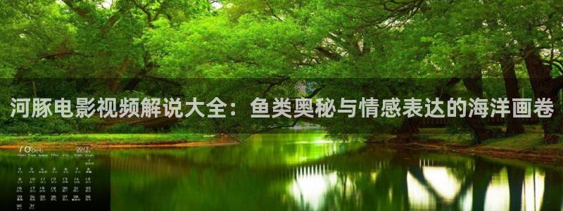 雁回时星辰影院