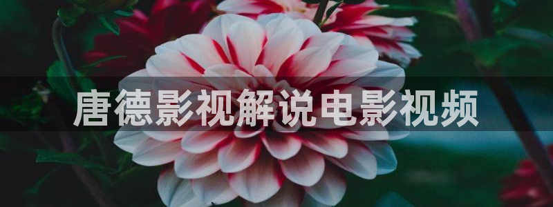 四方馆电视剧免费看星辰影视