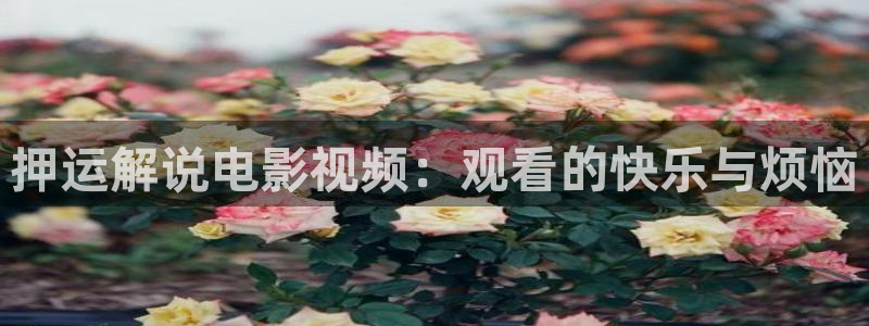 觉醒年代星辰影视