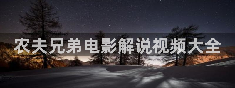大理寺日志星辰影视