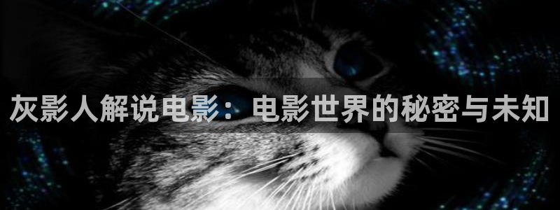星辰影视免费观看电影