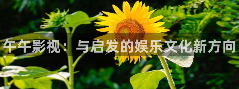 星辰影院免费看电视剧2024