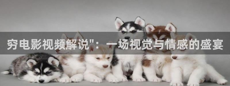 星辰电影高清在线观看