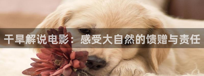 糖心vlog星辰影院