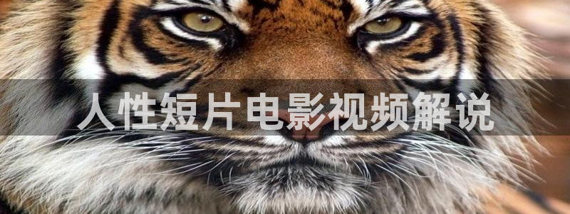 且试天下电视剧免费观看完整版星辰影院