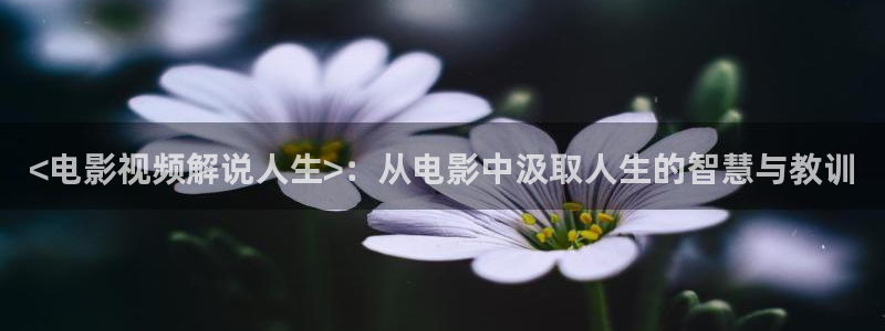 大侠霍元甲星辰影视