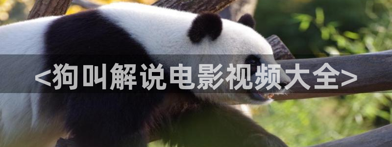 星辰影视后浪