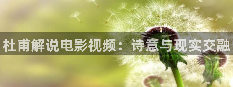 星辰影院免费版官网