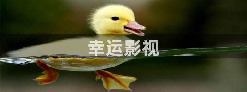 星辰影院免费视频