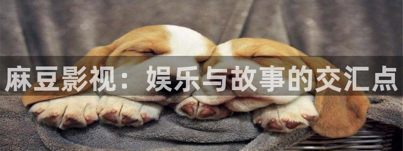 星辰影视大全电视剧免费播