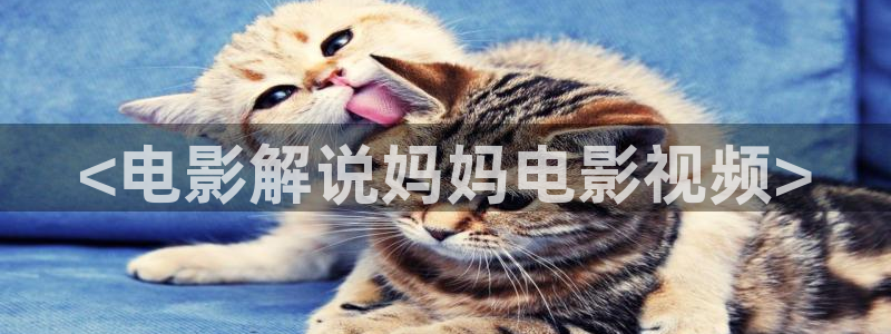 星辰影院华丽的外出电影