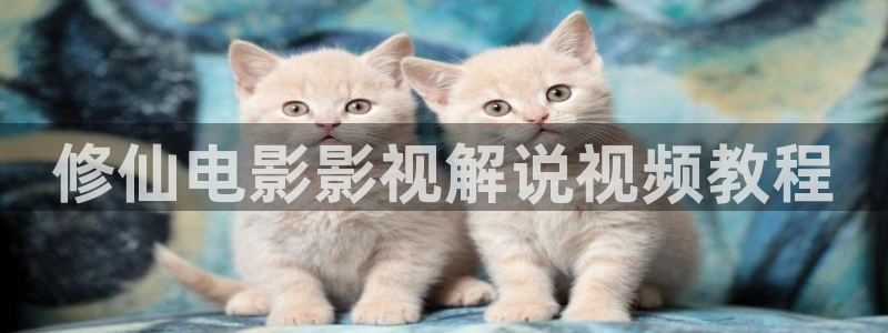 玫瑰的故事电视剧免费观看全集高清星辰影视