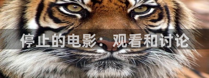 大侦探第九季星辰影院