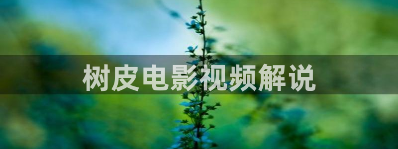 他来了请闭眼星辰影视
