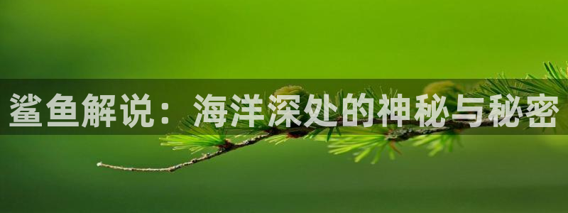 乡村爱情星辰影视