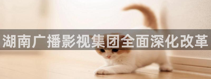 人间中毒星辰影院