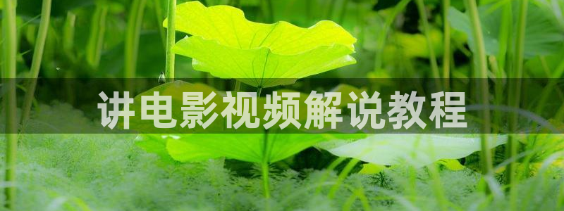 莲花楼电视剧星辰影视