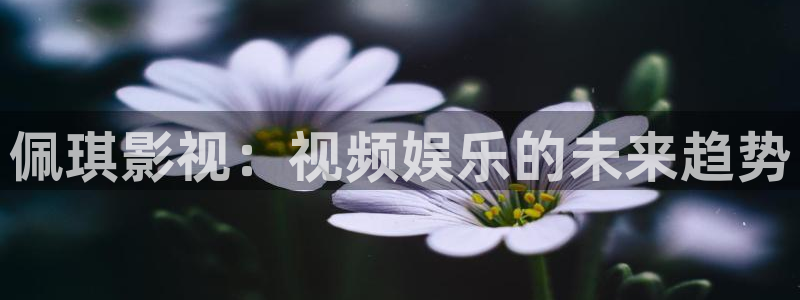 熊出没之小小世界星辰影院
