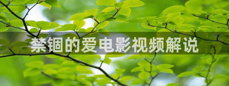 欲望之岛星辰影院