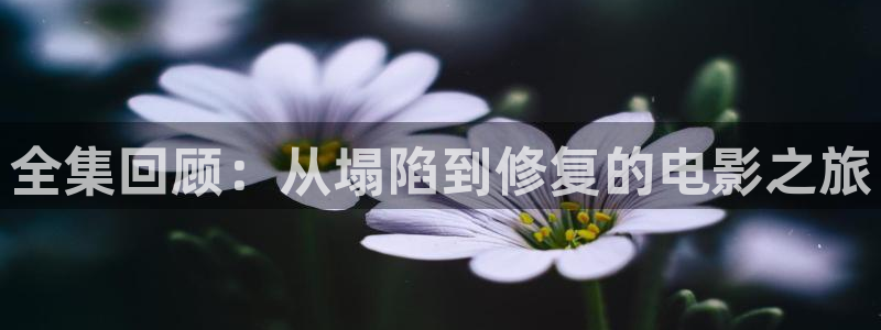 星辰影院2021最新电视剧免费