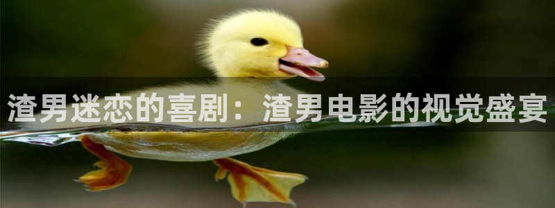藏海传电视剧在线观看免费星辰影院