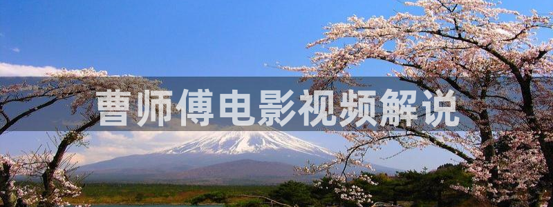 《我是刑警》免费观看星辰影院