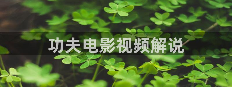 名侦探柯南在线观看星辰影院