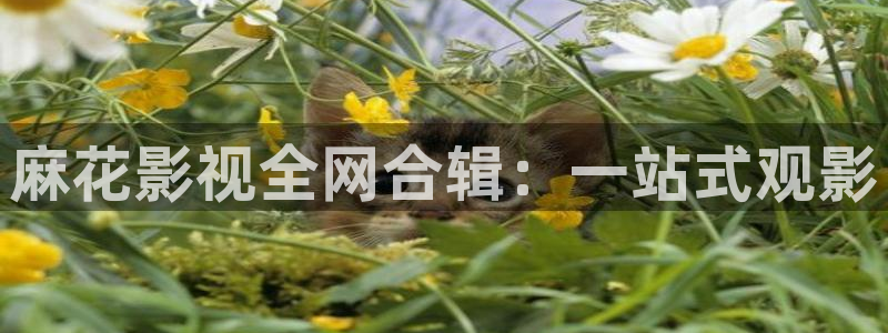 星辰影院老九门