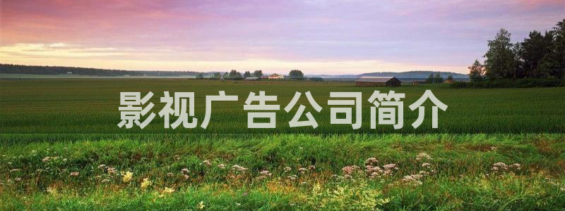星辰影院在线观看免费播放电视剧大