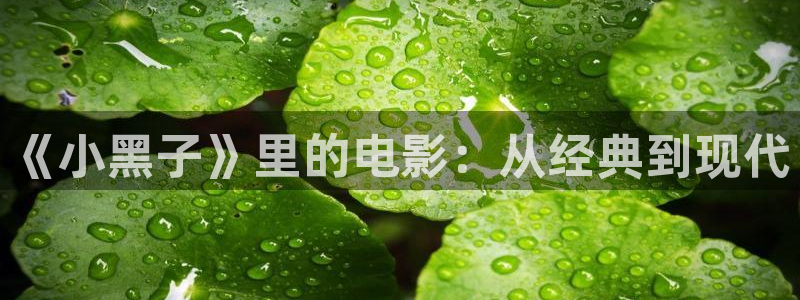 星辰影院理伦片